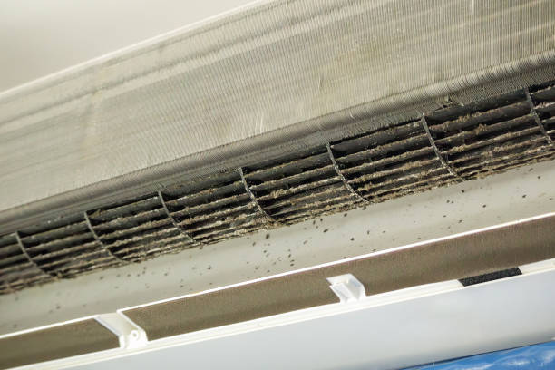 Best Best Air Duct Cleaning Company  in Trempealeau, WI